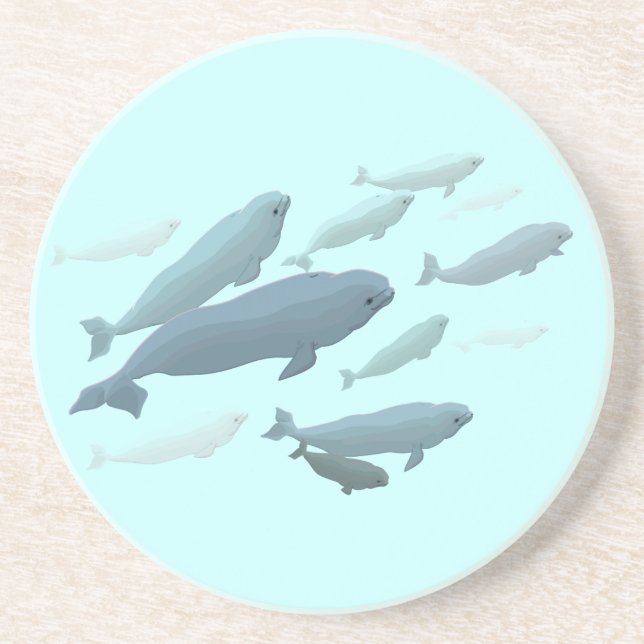 Beluga Whale Coasters Whale Art Drink Coaster (Front)