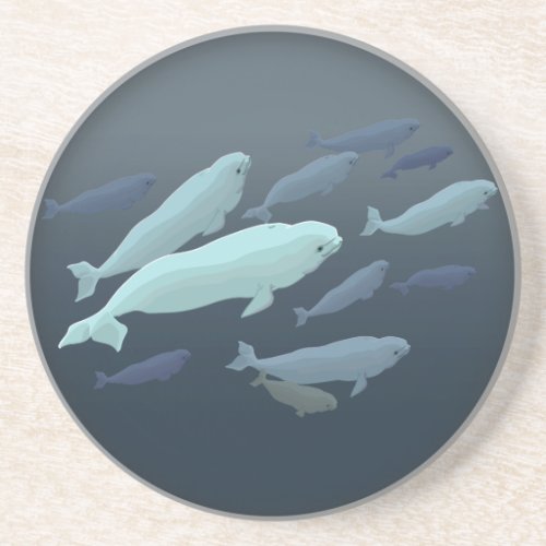 Beluga Whale Coasters Whale Art Drink Coaster