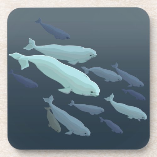 Beluga Whale Coasters Whale Art Drink Coaster