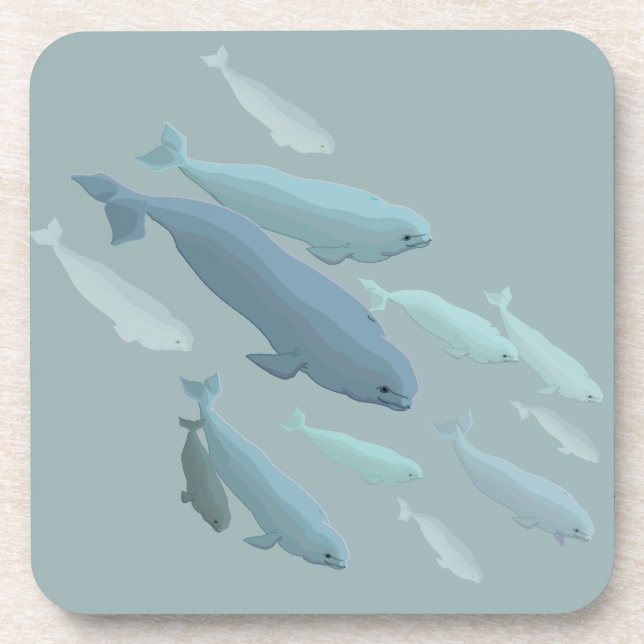 Beluga Whale Coasters Whale Art Drink Coaster (Front)