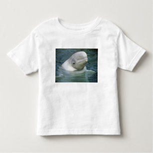 Beluga Whale, Delphinapterus leucas), Captive Toddler T-shirt