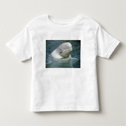 Beluga Whale Delphinapterus leucas Captive Toddler T_shirt