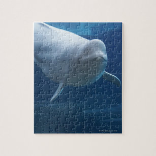 Beluga whale (Delphinapterus leucas) Jigsaw Puzzle