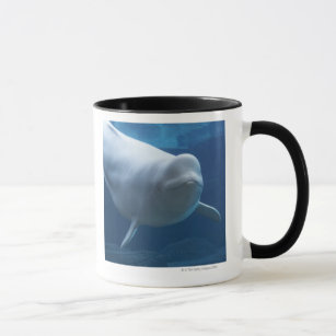 Beluga whale (Delphinapterus leucas) Mug