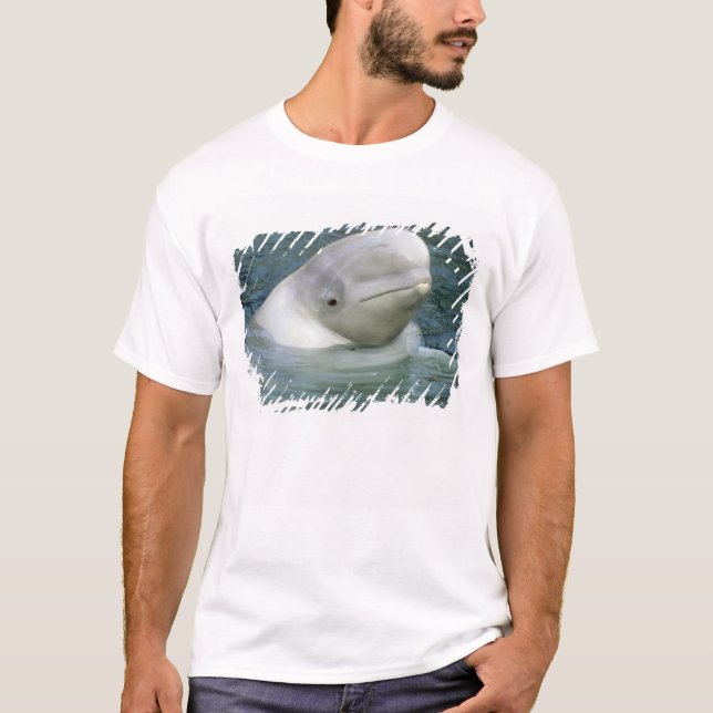 Beluga Whale, Delphinapterus leucas) T-Shirt (Front)