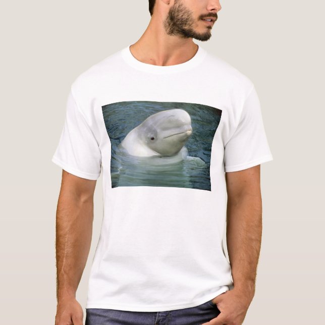 Beluga Whale, Delphinapterus leucas) T-Shirt (Front)