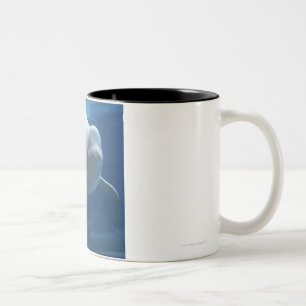 Beluga whale (Delphinapterus leucas) Two-Tone Coffee Mug