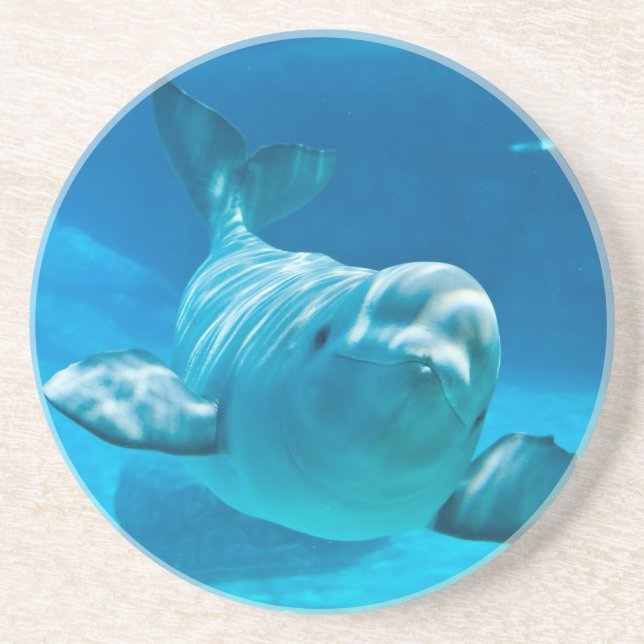 Beluga Whale Drink Coaster (Front)