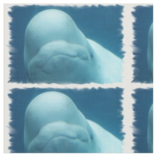 Beluga Whale Fabric