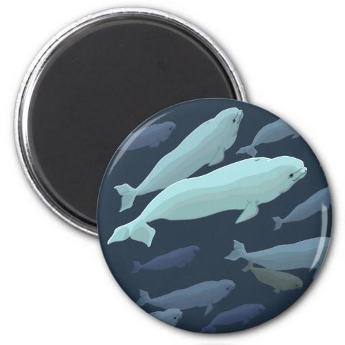 Beluga Whale Fridge Magnet Whale Art Gifts