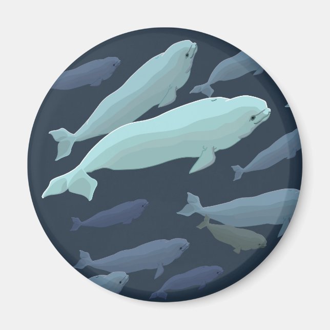 Beluga Whale Fridge Magnet Whale Art Gifts (Front)