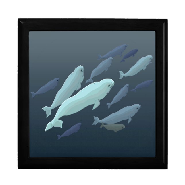 Beluga Whale Gift Box Beluga Whale Jewelry Box (Front)