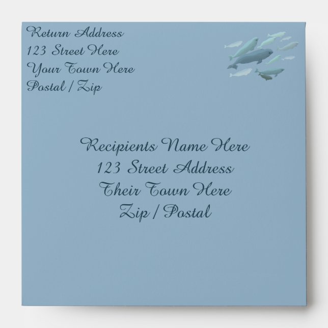 Beluga Whale Greeting Card Envelopes Personalized (Front)