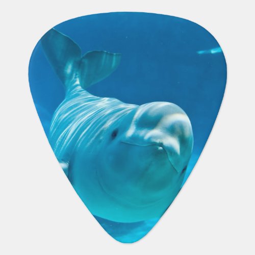 Beluga Whale Guitar Pick
