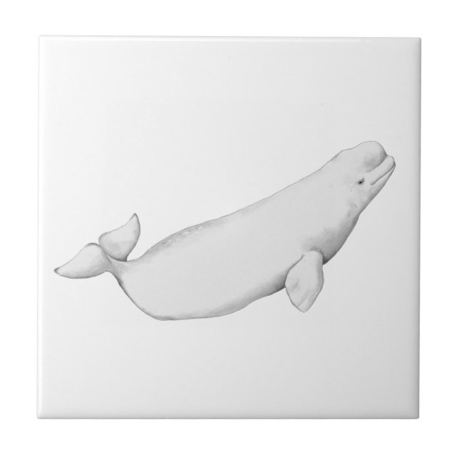 Beluga Whale Illustration Whale Lover Gift White Ceramic Tile (Front)