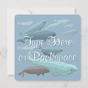 Beluga Whale Invitations Personalized Whale RSVP