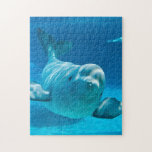 Beluga Whale Jigsaw Puzzle at Zazzle