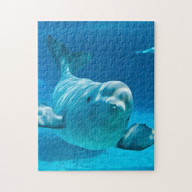 Beluga Whale Jigsaw Puzzle (Vertical)