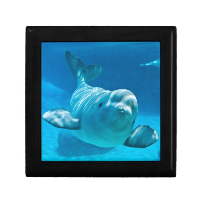 Beluga Whale Keepsake Box (Front)