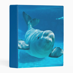 Beluga Whale Mini Binder
