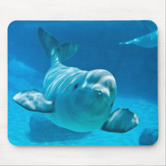 Beluga Whale Mouse Pad