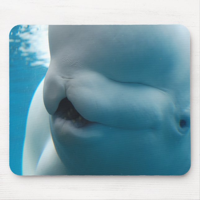 Beluga Whale  Mouse Pad (Front)