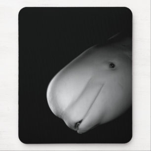 Beluga Whale Mousepad