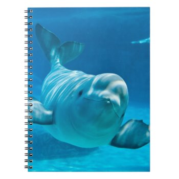 Beluga Whale Notebook by wildlifecollection at Zazzle