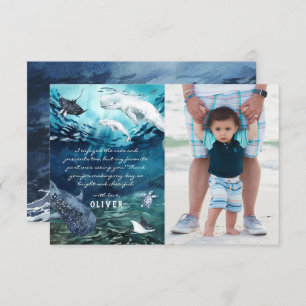 Beluga Whale Ocean   Photo Thank You