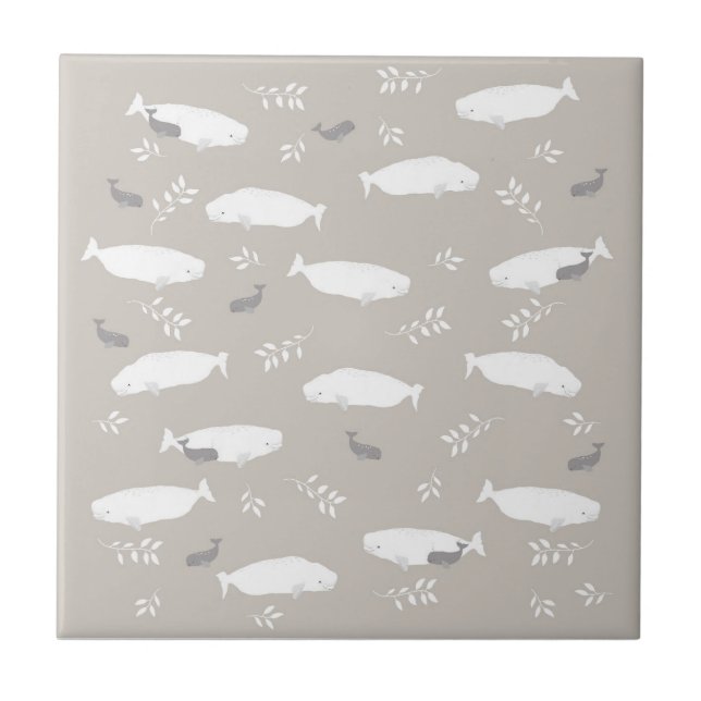 Beluga Whale On Pastel Grey Illustration  Ceramic Tile (Front)