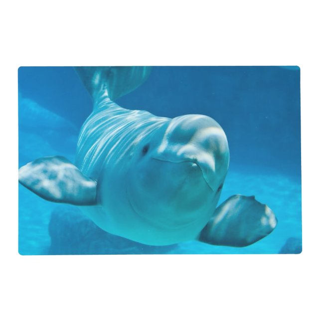 Beluga Whale Placemat (Front)