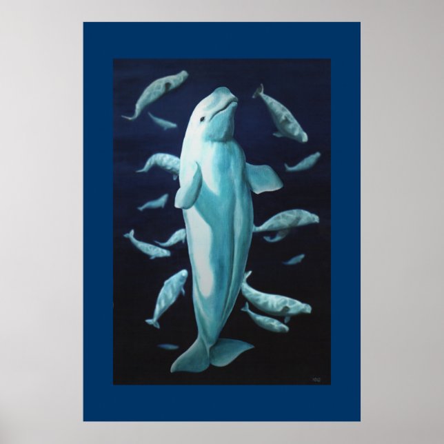 Beluga Whale Print Marine Life Poster Whale Print (Front)
