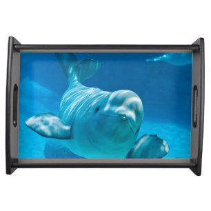 Beluga Whale Serving Tray