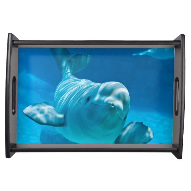 Beluga Whale Serving Tray (Front)