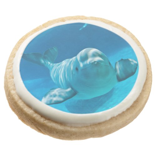 Beluga Whale Sugar Cookie