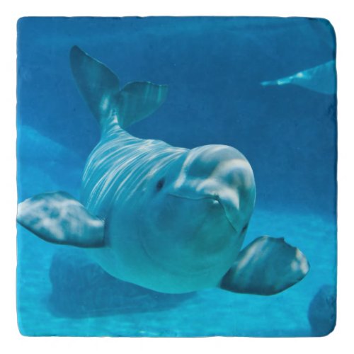 Beluga Whale Trivet