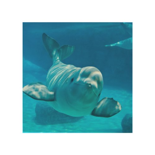 Beluga Whale Wood Wall Decor