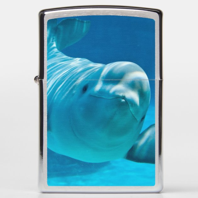Beluga Whale Zippo Lighter | Zazzle Beluga Whale Zippo Lighter | Zazzle