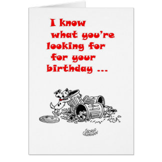 Belvedere In The Trash Cans