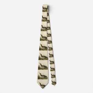 Bemaculated (Brewer's) Duck, Audubon Birds America Neck Tie