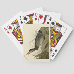 Bemaculated (Brewer's) Duck, Audubon Birds America Poker Cards