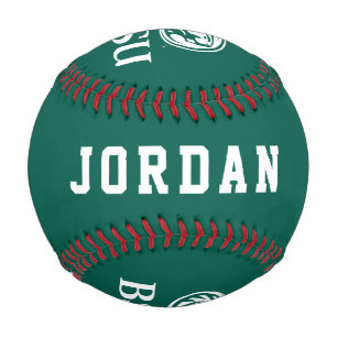 Bemidji Beaver BSU Baseball