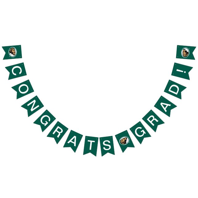 Bemidji State University Bunting Flags (All)