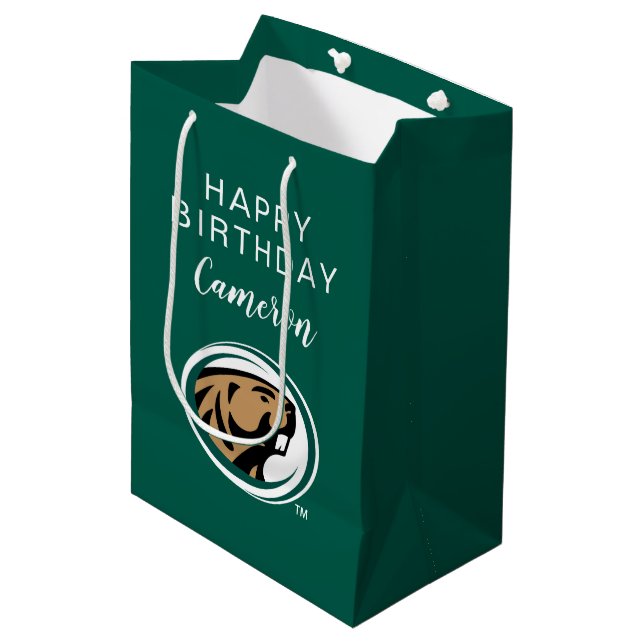 Bemidji State University Medium Gift Bag (Front Angled)