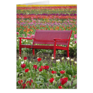 Bench in a Field Cards