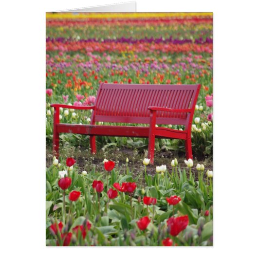 Bench in a Field Cards (Front)