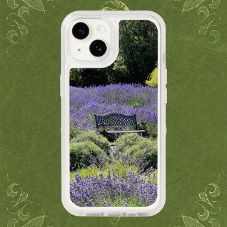 Bench in a Huge Field of Lavender in Sequim