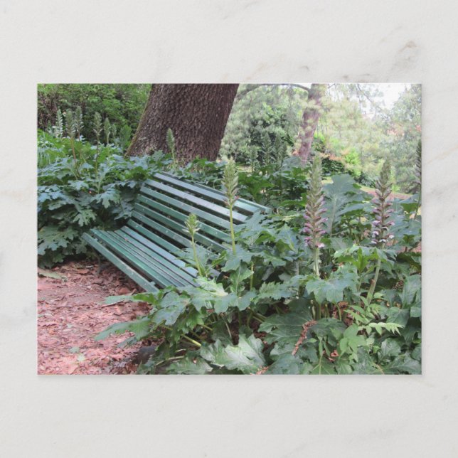 Bench in the Park Postcard (Front)