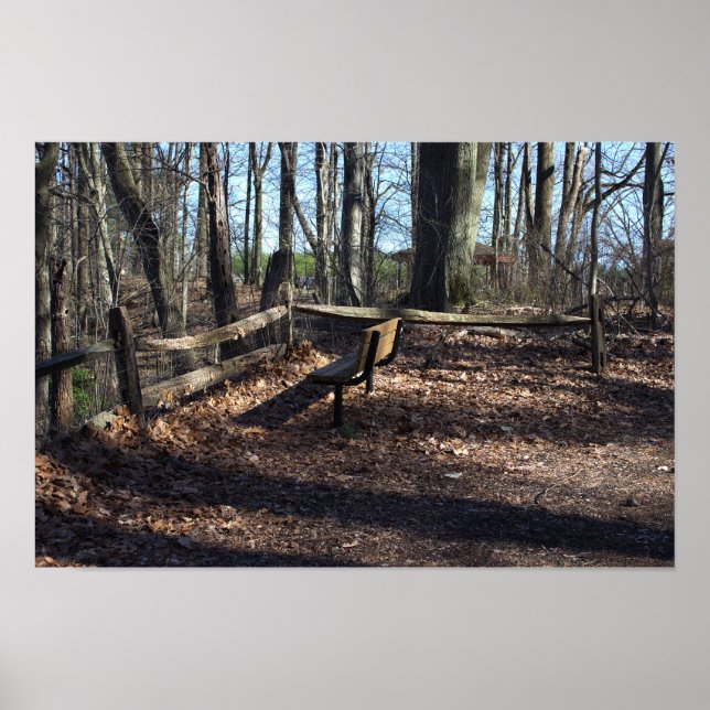 Bench in the Woods Poster (Front)