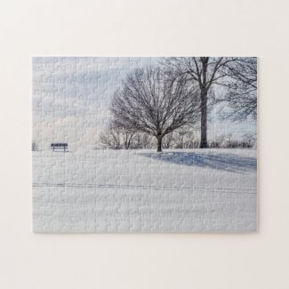 Bench On Snow Covered Hill